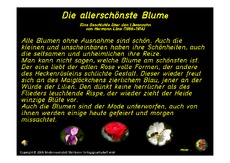 Präsentation-Die-allerschönste-Blume-Löns.pdf